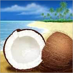 Coconuts Coconuts