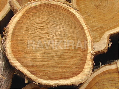 Benin Teak Timber Logs Benin Teak Timber Logs