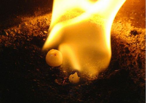 Camphor Tablet Camphor Tablet