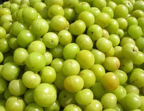 Amla Seed Oil Amla Seed Oil