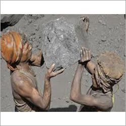 Imported Screening Coal Imported Screening Coal