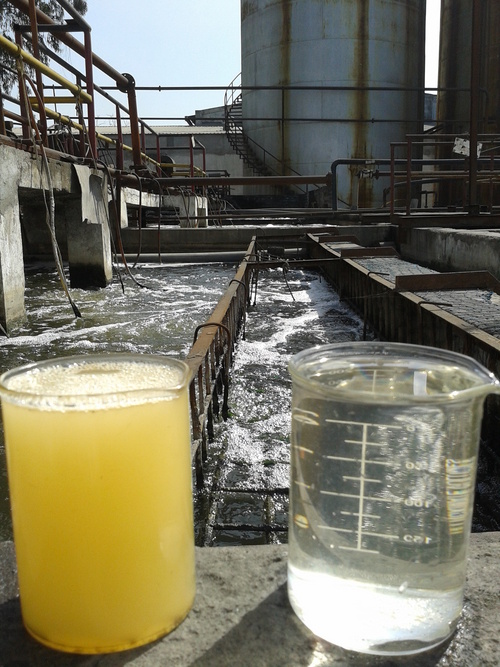 Vegetable Oil Refining Plant Vegetable Oil Refining Plant