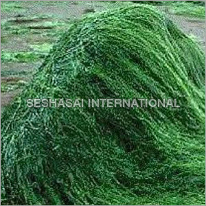 Naturally Green Spirulina Naturally Green Spirulina