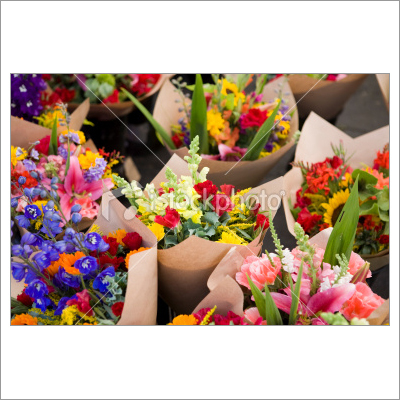 Fresh Flowers Fresh Flowers