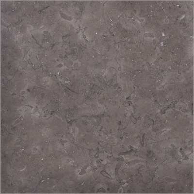 Egyptian Gray Marble Egyptian Gray Marble