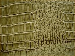 Leather Coatings Leather Coatings