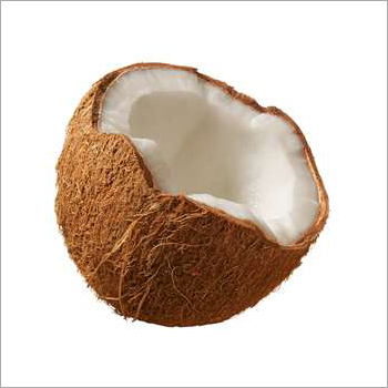 Husked Coconut Husked Coconut