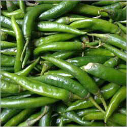 Green Chillies Green Chillies