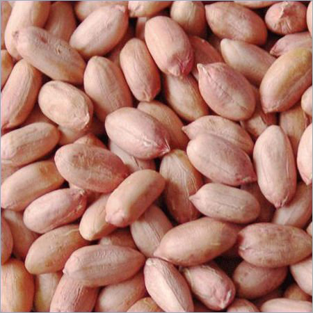 Groundnut Kernels Groundnut Kernels