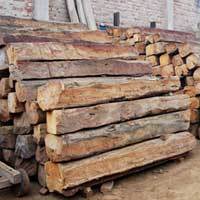 Teak Logs Teak Logs