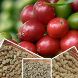 Raw Coffee Beans Raw Coffee Beans