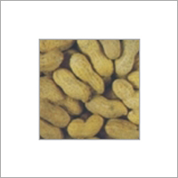 Indian Groundnuts Indian Groundnuts