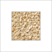 Sesame Seed Sesame Seed
