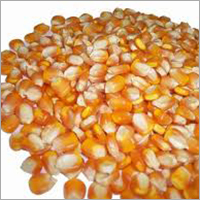 Frozen Yellow Corn Frozen Yellow Corn