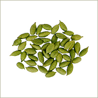 Cardamom Cardamom