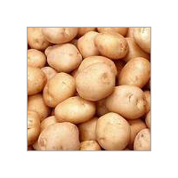 Potato Potato