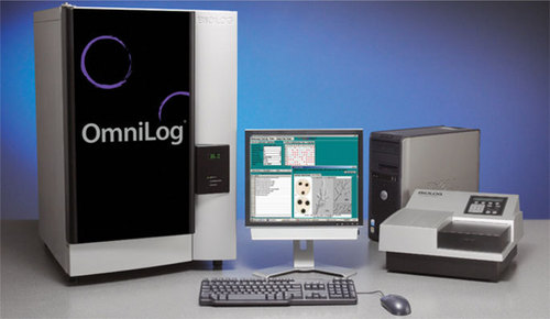 Microbial identification Microbial identification