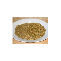Coriander Coriander