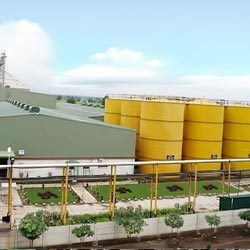 Oil Mill Expeller Oil Mill Expeller