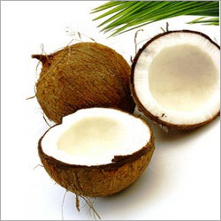 Coconut Shell Chips Coconut Shell Chips