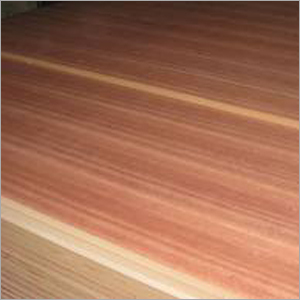 Flush Door Flush Door