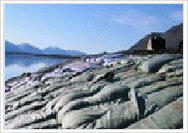 Non Woven Geo Bags Non Woven Geo Bags
