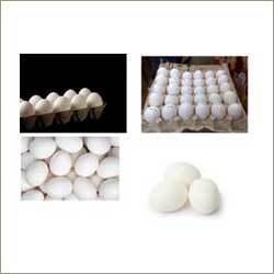 White Shell Eggs White Shell Eggs