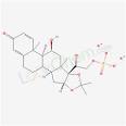Dipotassium Phosphate Dipotassium Phosphate