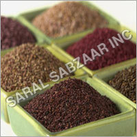 Fruit Seeds Fruit Seeds