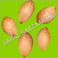 Palm Seeds Palm Seeds