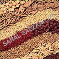Op & F1 Hybrid Vegetable Seeds Op & F1 Hybrid Vegetable Seeds