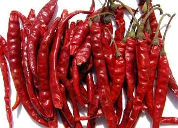 Red Chilli Red Chilli