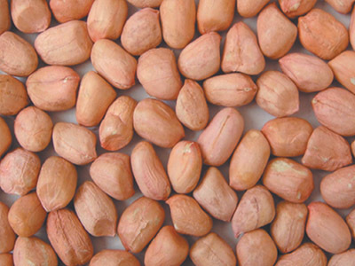 Peanuts Peanuts