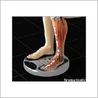 Circulation Booster Circulation Booster
