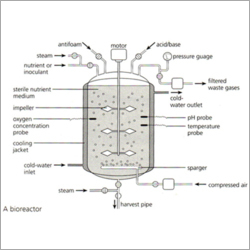 Fermentation Bioreactor Design Fermentation Bioreactor Design