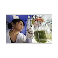 Fermentor Bioreactor Discovery Fermentor Bioreactor Discovery