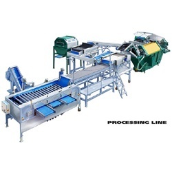 Apple Grading Processing Line Apple Grading Processing Line