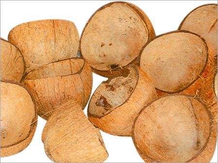Coconut Shell Coconut Shell