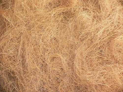 Coir Fiber Coir Fiber