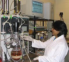 Fermenter Bioreactor Fermenter Bioreactor