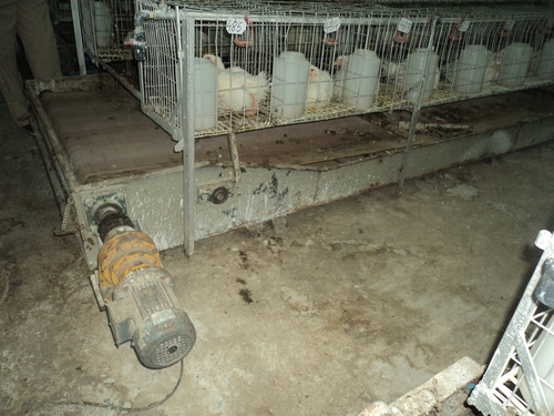 Manure Cleaning Conveyor Manure Cleaning Conveyor