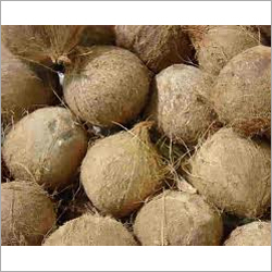 Coconut Shell Products Coconut Shell Products