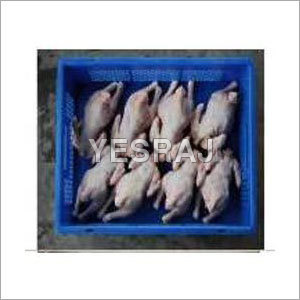 Fresh Frozen Poultry Meat Fresh Frozen Poultry Meat