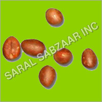 Shrub Tree Seeds Shrub Tree Seeds