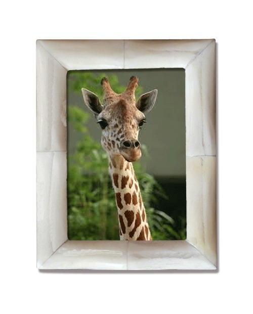 Photo Frame Photo Frame