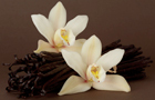 Floral Absolutes Oil Floral Absolutes Oil