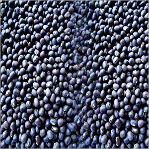 Black Urad Pulses Black Urad Pulses