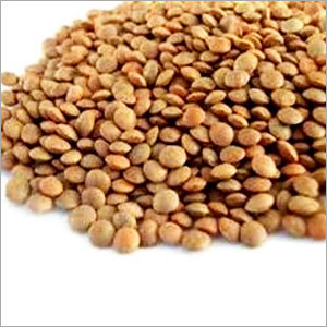 Masoor Pulses Masoor Pulses