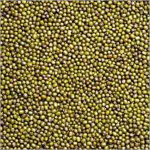 Moong Pulses Moong Pulses