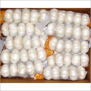 Fresh White Garlic Fresh White Garlic